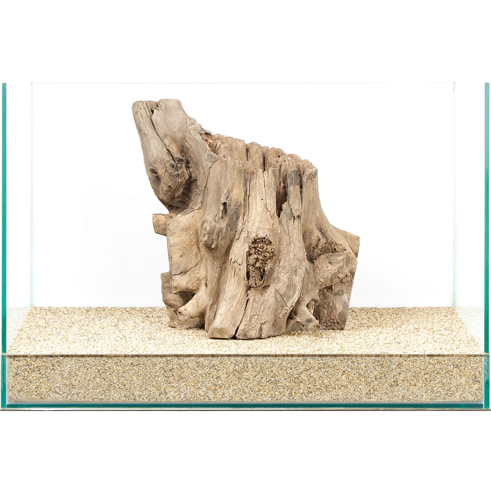 楽天市場】流木 一点物の通販