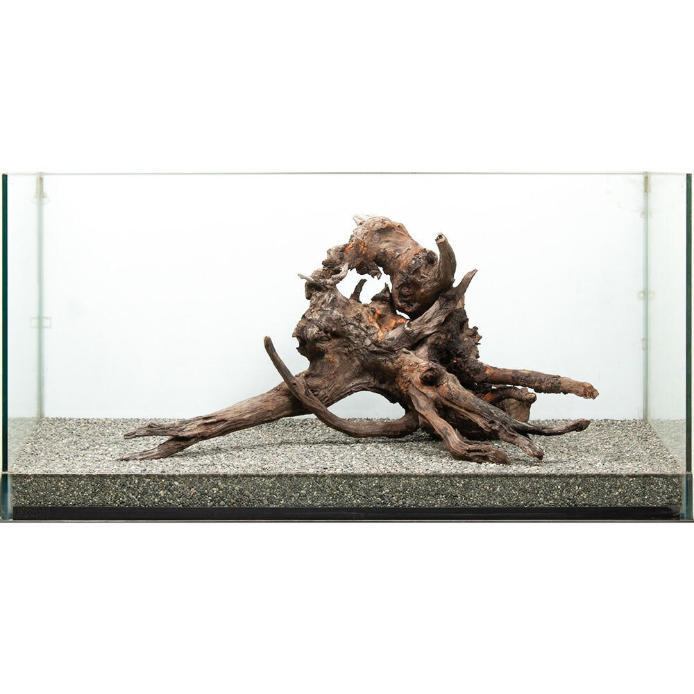 MRW-6567 特大自立赤系流木 1点物 自立流木 一点物90cm水槽用 MRW-6567