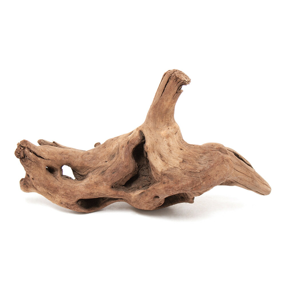 流木 水槽 アクアリウム」の人気商品一覧 | 安い商品を通販サイトから