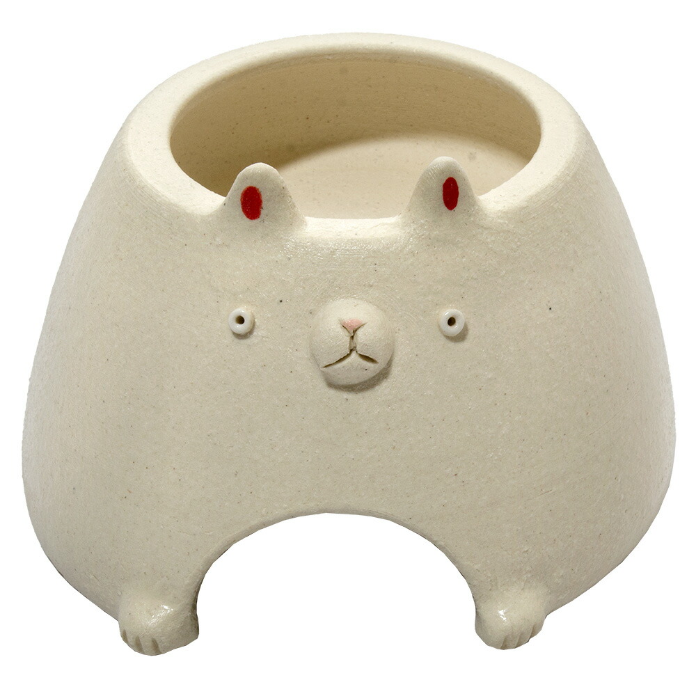 爬虫類 両生類 4点セット シェルター ウェットシェルター ボーダー