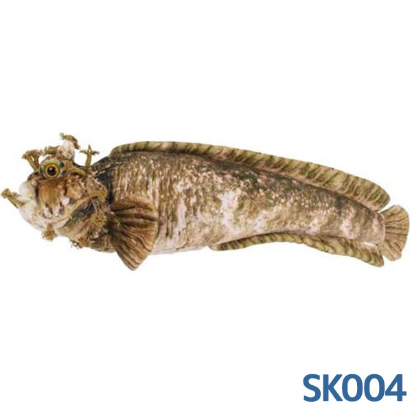 さかなです さかなです。 さかなです さかなです さかな！ ZX太刀魚