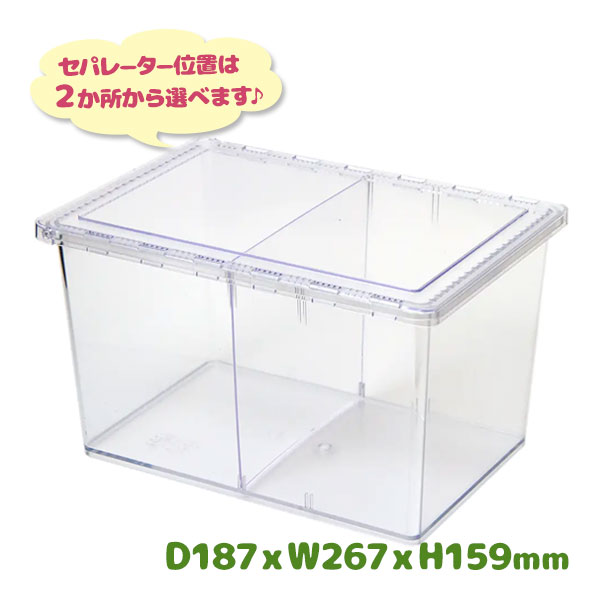 楽天市場】飼育ケース コバエシャッター ラージ クリア 透明 シーラ