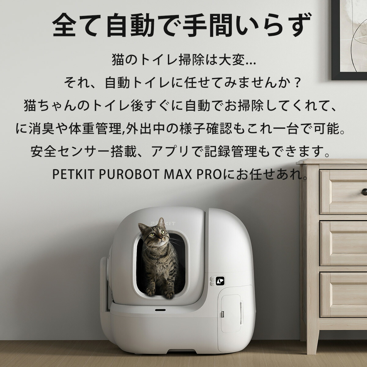 楽天市場】＼20,000円オフ→62,100円！！／自動猫トイレ PETKIT