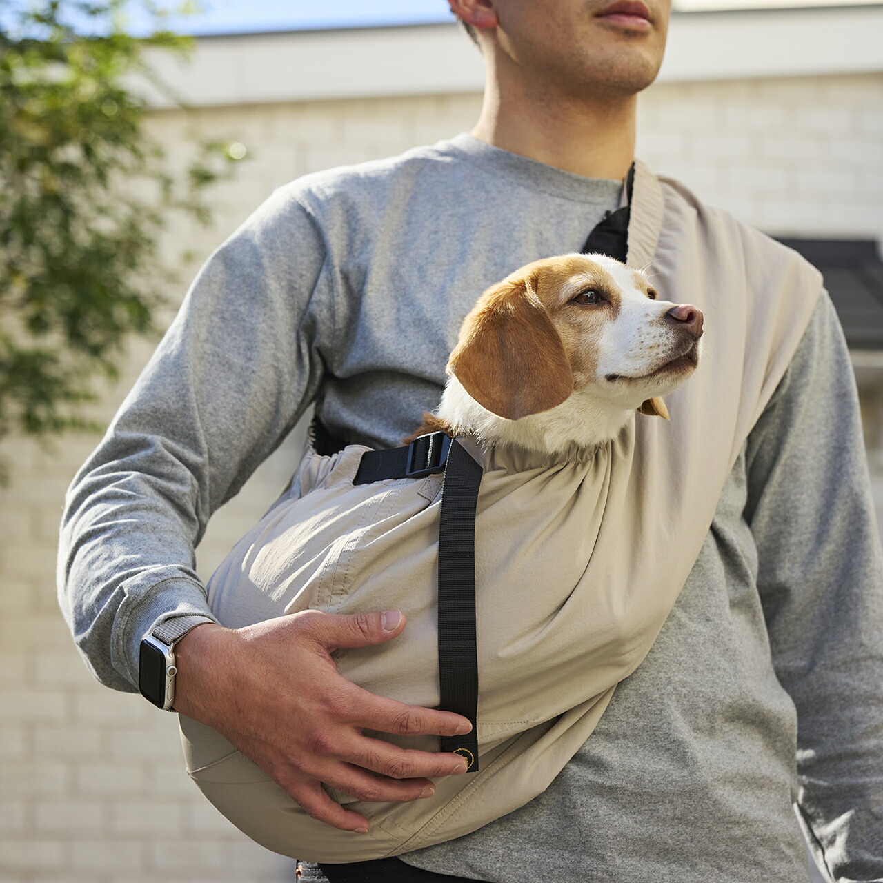 楽天市場】マンダリンブラザーズ スリング 耐荷重12kg 調節可 シンプル