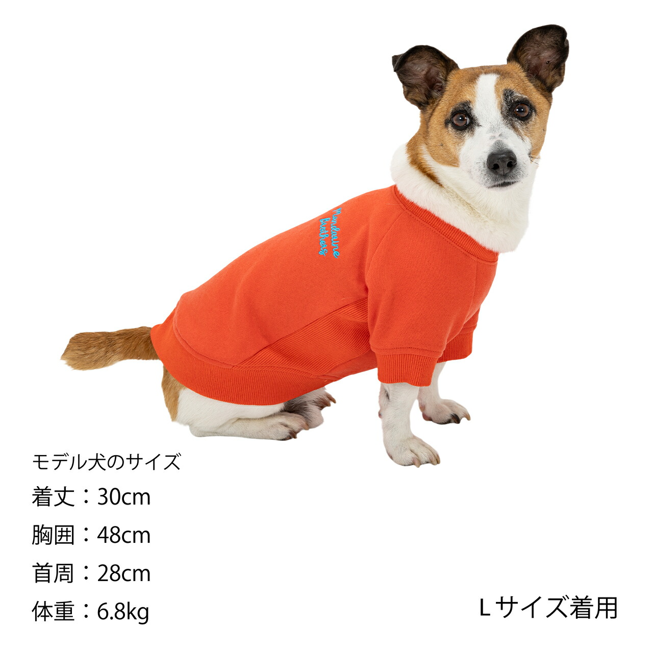 楽天市場】マンダリンブラザーズ 犬服 犬 服 秋冬 スウェット