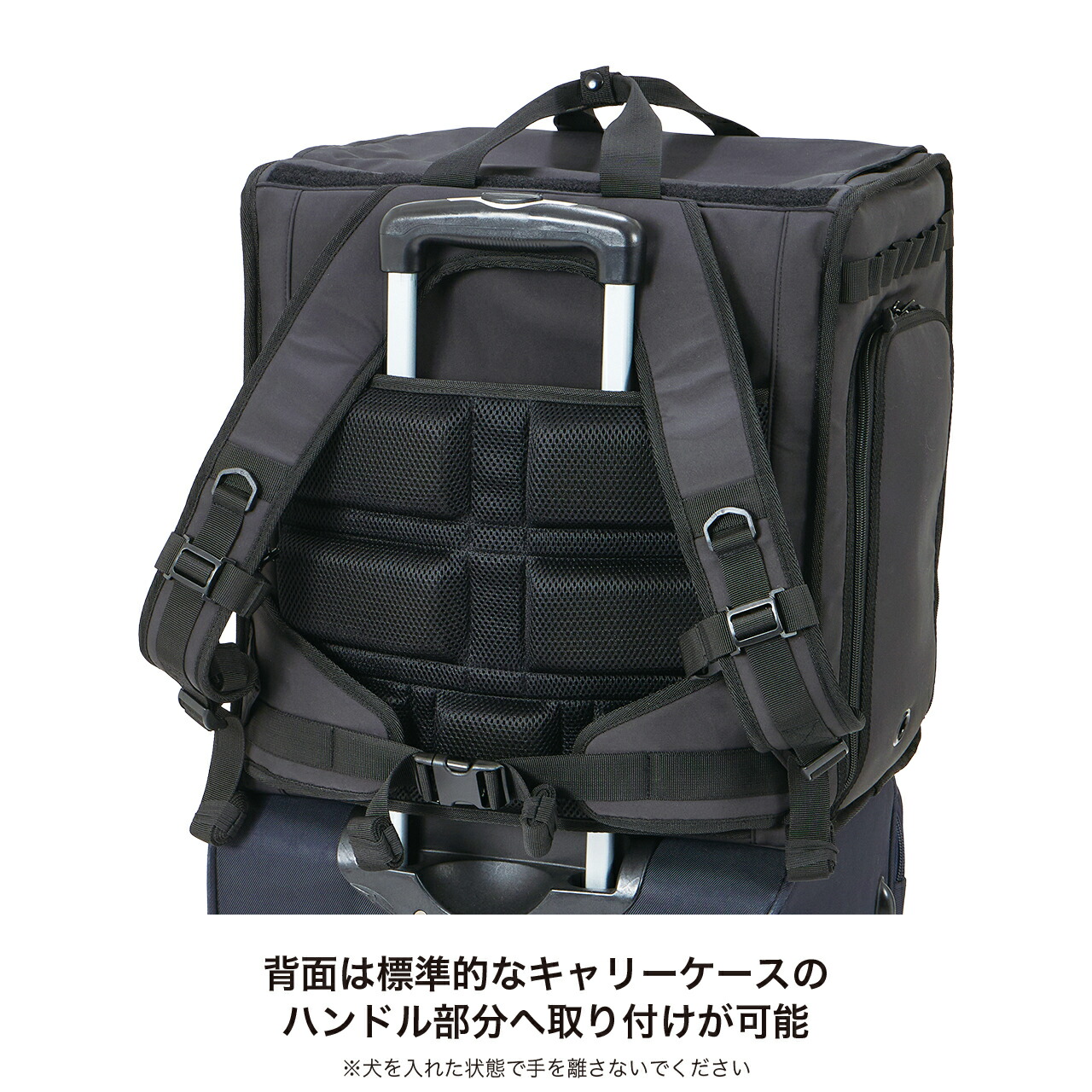 楽天市場】マンダリンブラザーズ 拡張 2025年リニューアル版 キャリー