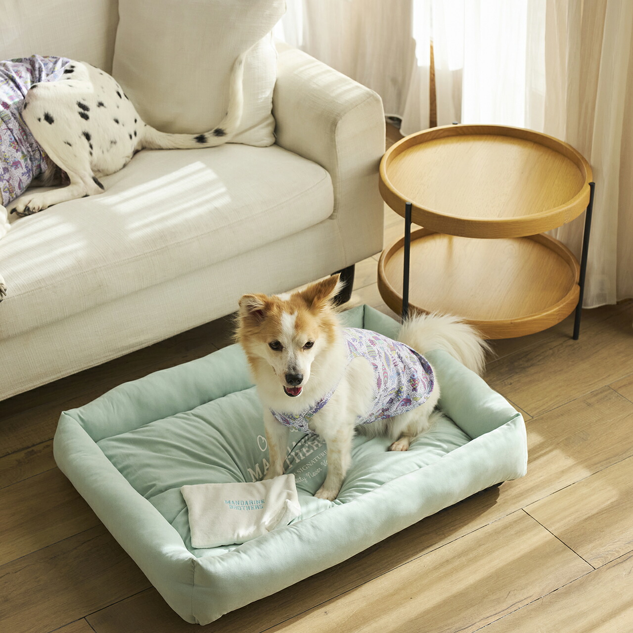 楽天市場】マンダリンブラザーズ 犬 ベッド ドッグベッド 低い ゲージ