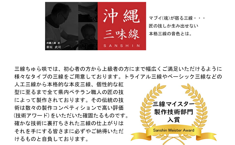 楽天市場】【三線】沖縄三線 琉球トライアル 初心者応援27点セット