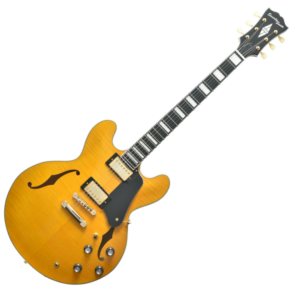 セミアコースティックギター セミアコ アコースティック エレキギター