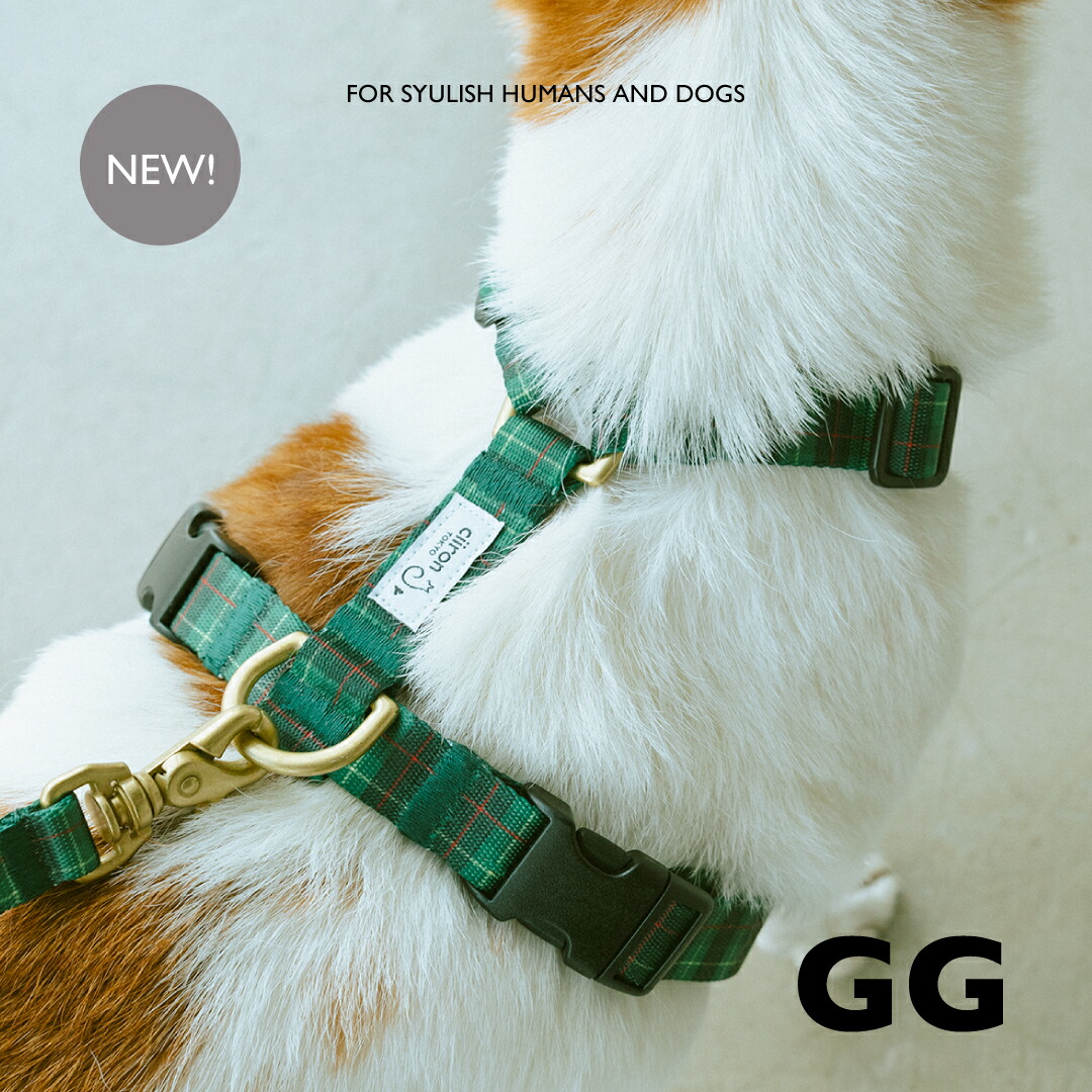 楽天市場】【 犬 ハーネス おしゃれ 抜けない 負担が少ない 小型犬