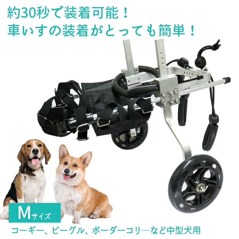 楽天市場】【2個で4%off☆SALE】犬用補助輪 Mサイズ 犬用車椅子 中型犬