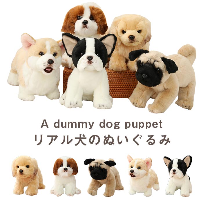 楽天市場】犬 ぬいぐるみ いぬ おもちゃ 癒しリアル 犬グッズ いぬ