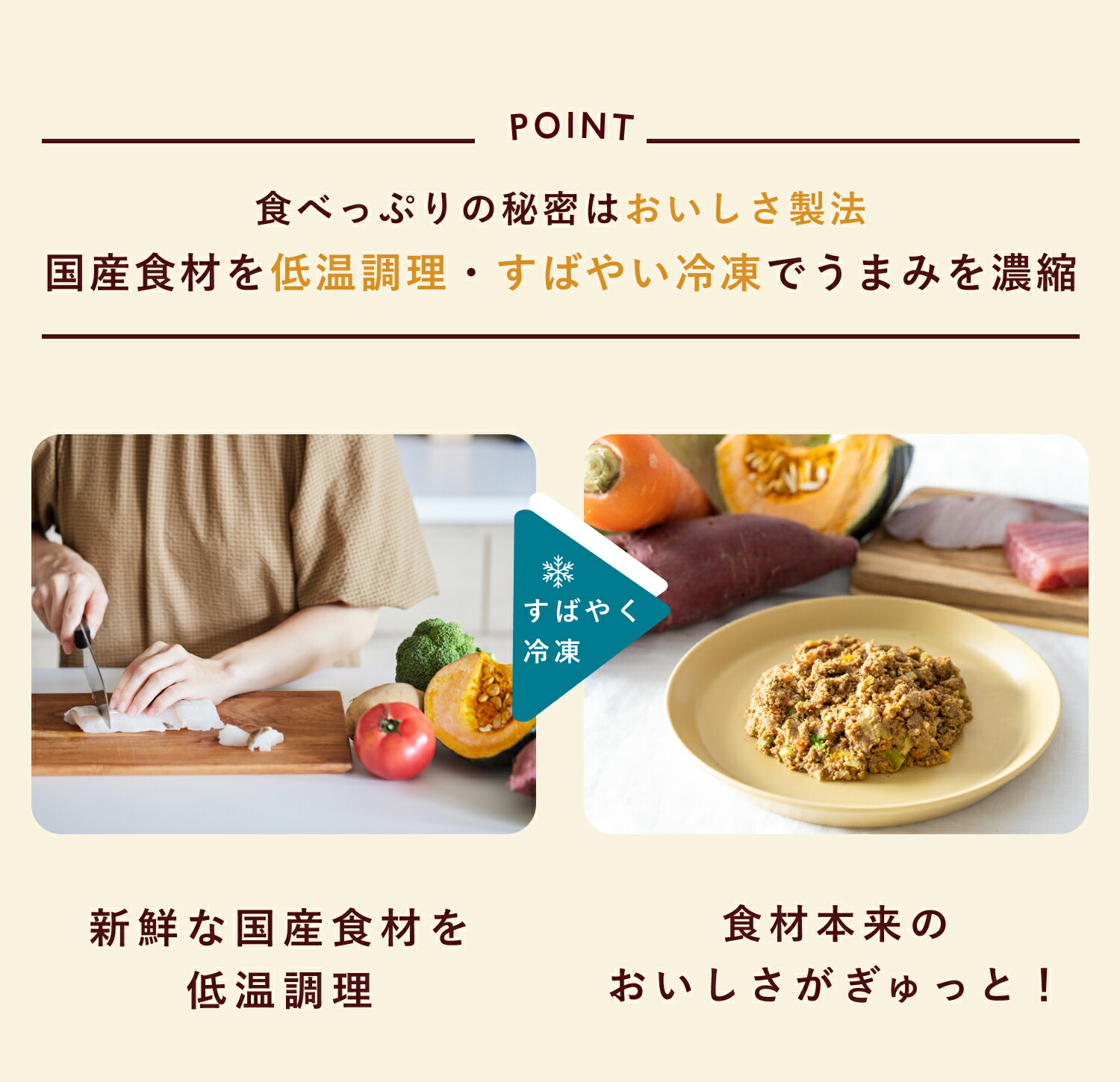 楽天市場】【クーポンで20%OFF】ココグルメ 手作りドッグフード 国産