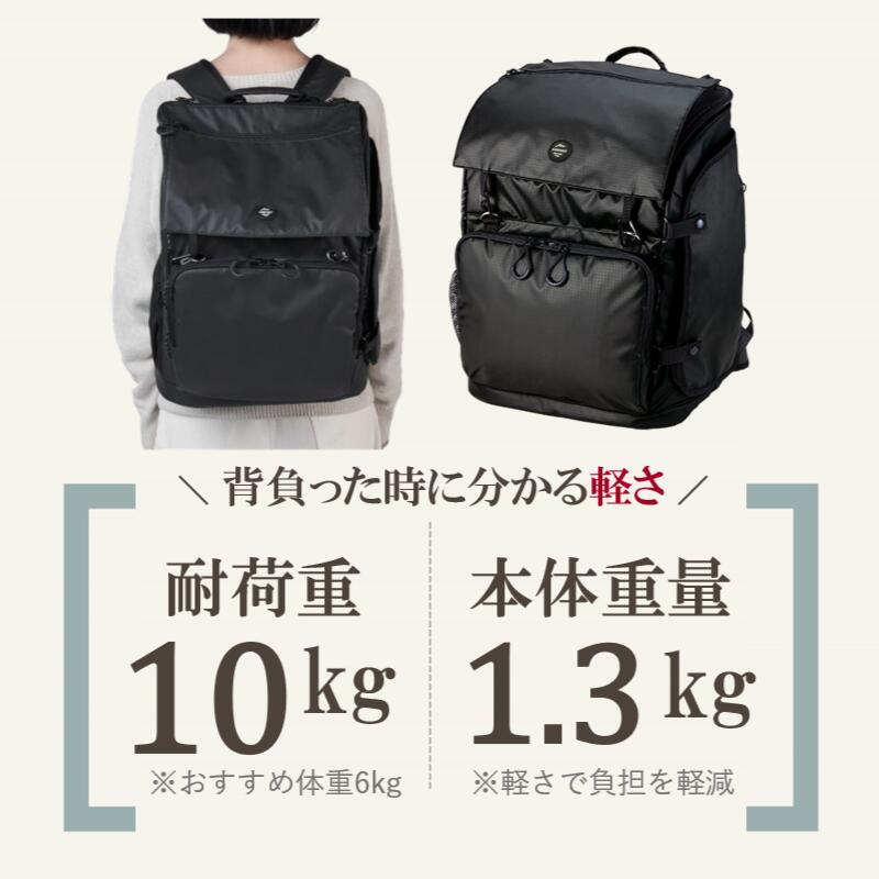 楽天市場】【土日祝も毎日発送】【特典】 エアバギー 犬 犬リュック