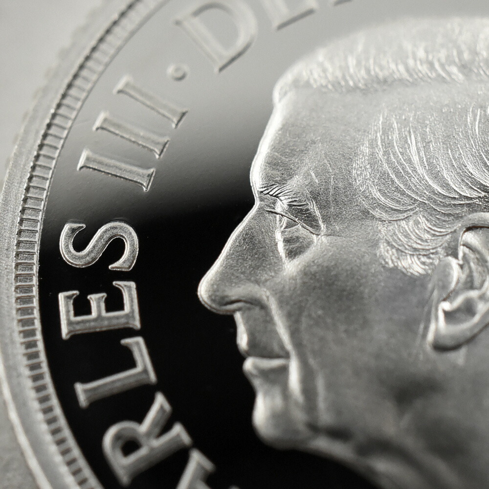 楽天市場】☆即納追跡可☆ 2025 チャールズ3世 聖ジョージ竜退治