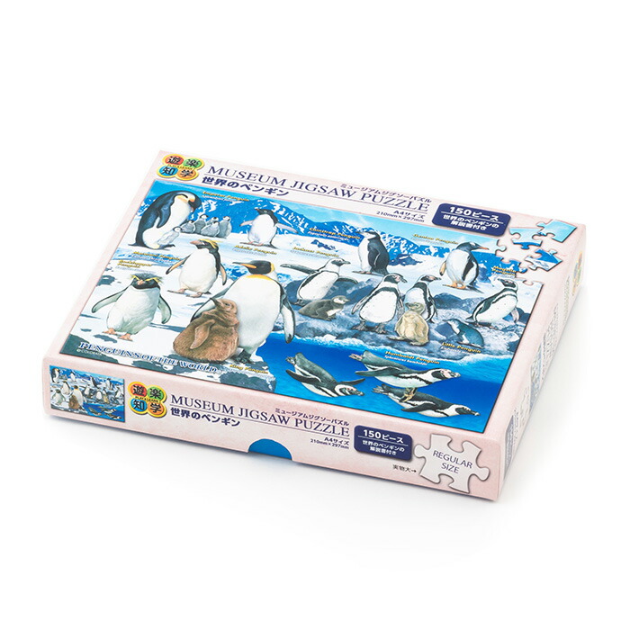 吉田遠志 ゼントウペンギン 1000ピース ジクソーパズル 吉田遠志 ゼン