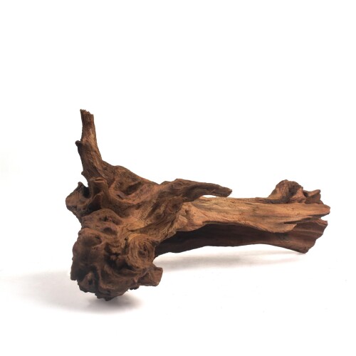 限定品 特大 XXLサイズ 厳選ホーンウッド 大型流木！検 ADA 水草67