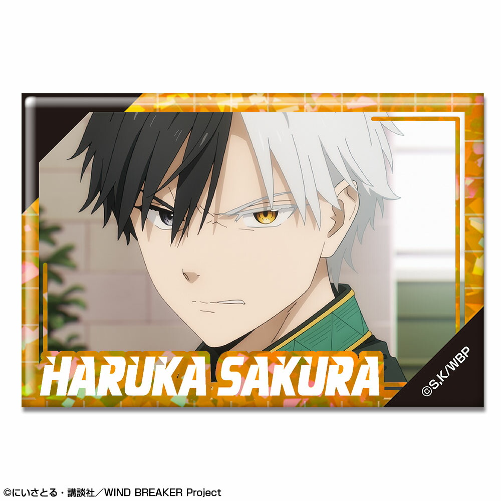 楽天市場】【新品/公式】 WIND BREAKER_ホログラム缶バッジ デザイン04