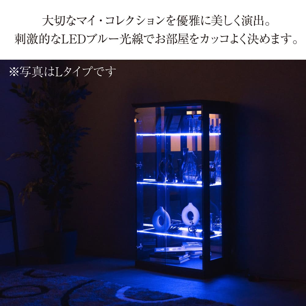 楽天市場】【特典付c】 コレクションケース ハイタイプ ロータイプ