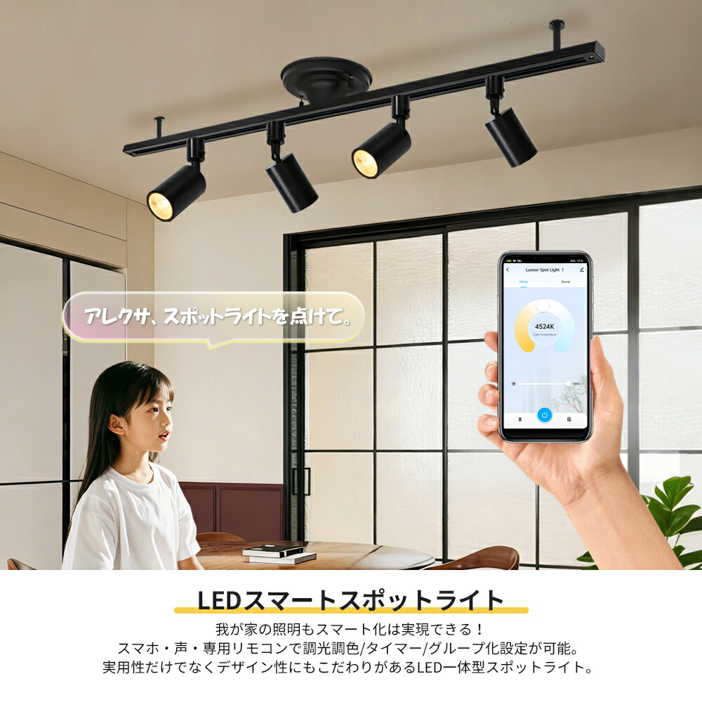 楽天市場】スポットライト LED一体型 電球内蔵 ダクトレール