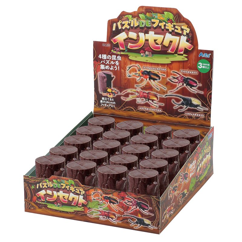 ウニ（スカシカシパン）の箱入り標本 - aiai生物部 | minne byGMO