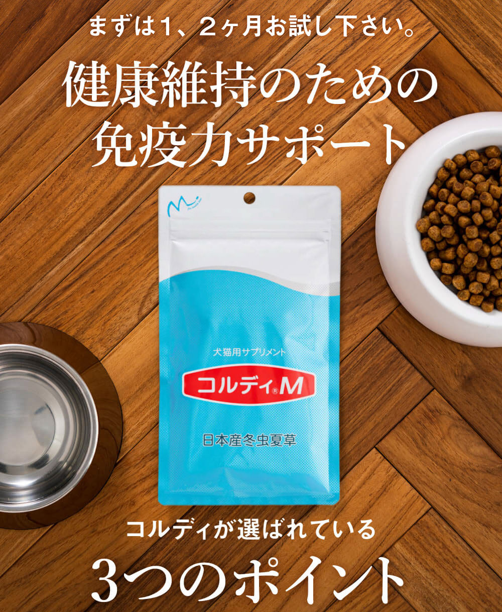 楽天市場】【”何かしてあげたい”に冬虫夏草の力】犬 猫 シニア犬 老犬