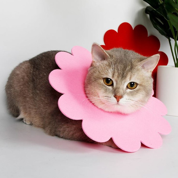 楽天市場】【クーポンで1332円＋ポイント最大22倍】【楽天1位獲得