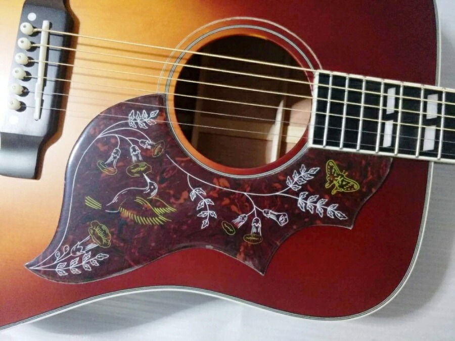 楽天市場】ハミングバードタイプ ピックガード柄が消えることが