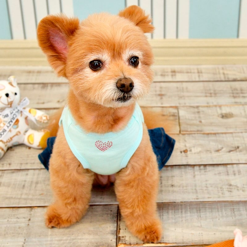 楽天市場】フラミンゴワンピース XS/S/M/L/XLサイズ CRAZYBOO