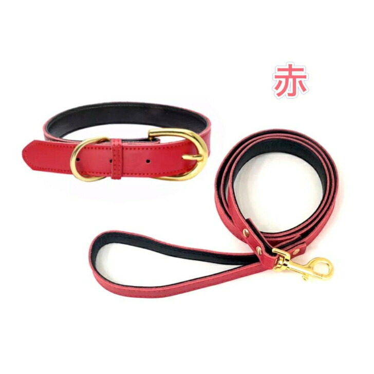 楽天市場】犬 首輪 リード セット 本革 犬首輪 おしゃれ XS S M 小型犬