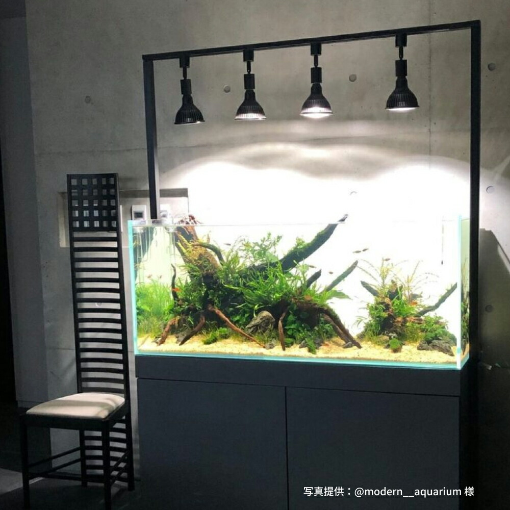 楽天市場】【3年保証】BARREL公式 植物育成LED ライト 【NEO AMATERAS