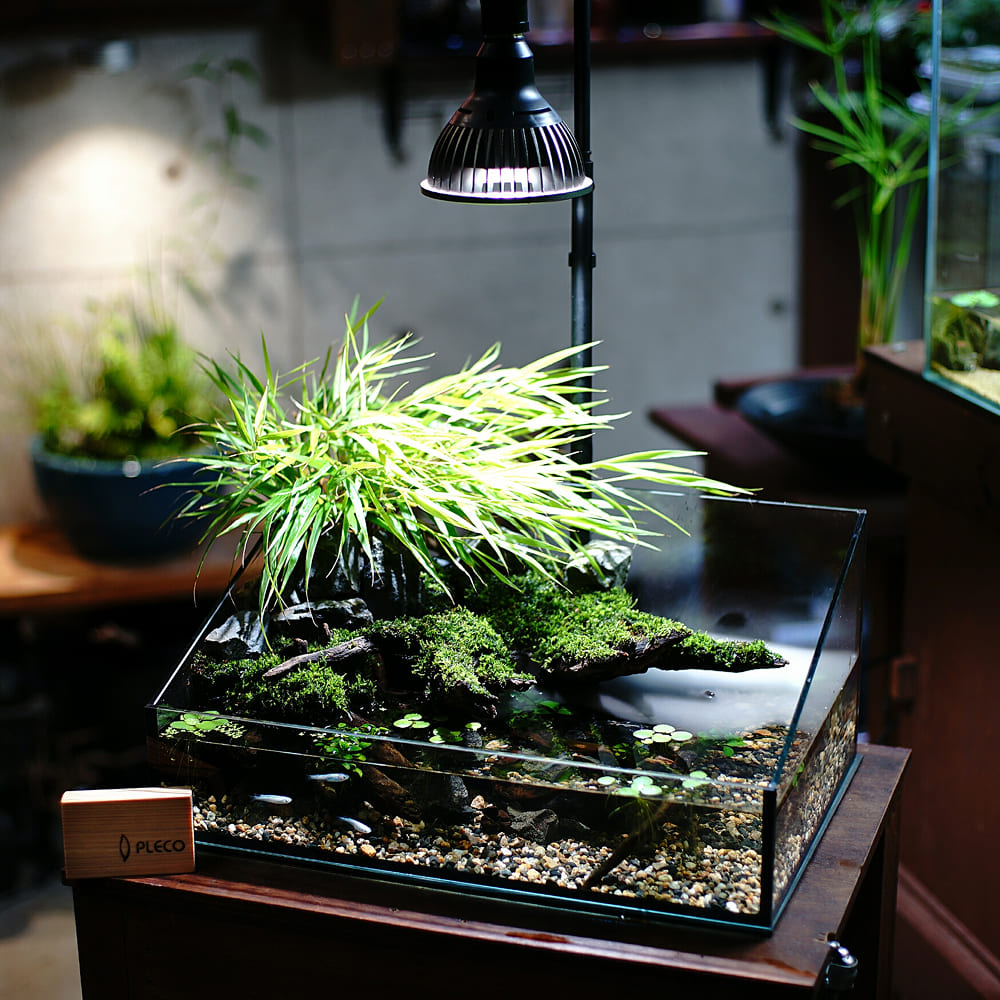 楽天市場】【3年保証】BARREL公式 植物育成LEDライト【AMATERAS-10W