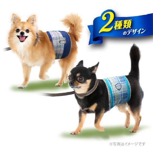 楽天市場】【ケース販売】マナーウェア男の子用 SSSサイズ超小型犬用