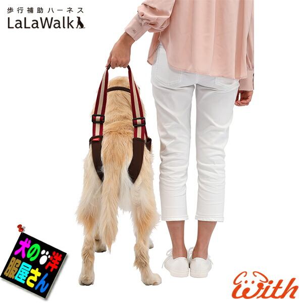 楽天市場】＼本日P2倍+200円OFF／ 楽天ランキング1位 中型犬 大型犬用