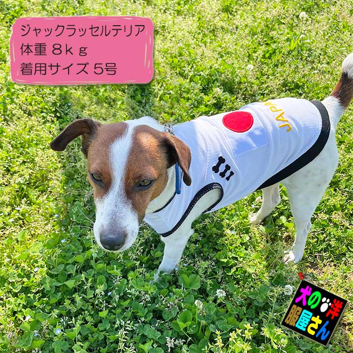 楽天市場】＼本日P2倍+200円OFF／ 【楽天ランキング1位】犬服 JAPAN