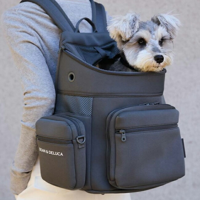 楽天市場】CITY DOG バッグパックキャリー チャコール ( Mサイズ / L