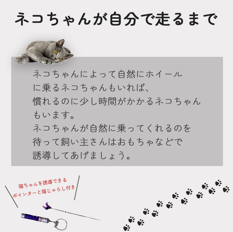 楽天市場】運動不足解消 キャットホイール 直径80cm ルームランナー 猫