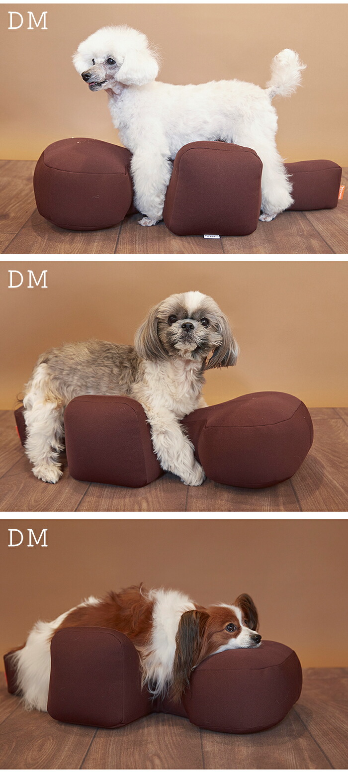 リラクッション DM 新品同様 【公式通販】