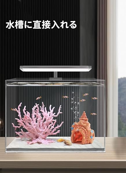 ホワイトサンゴ 自然形状 アクアリウム用