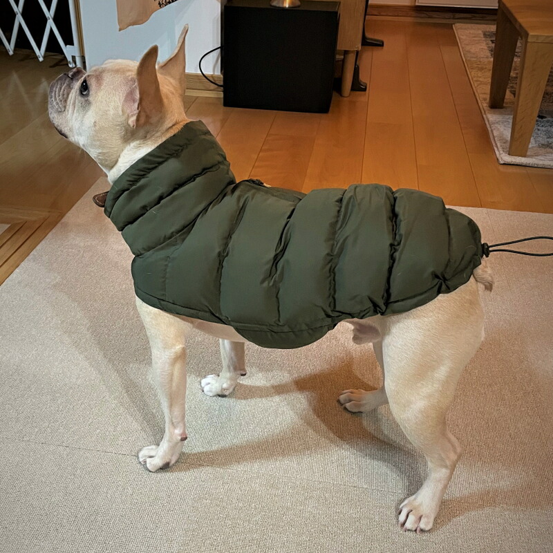 楽天市場】【数量限定！特別価格】Dog Coat Alaska 2024年モデル