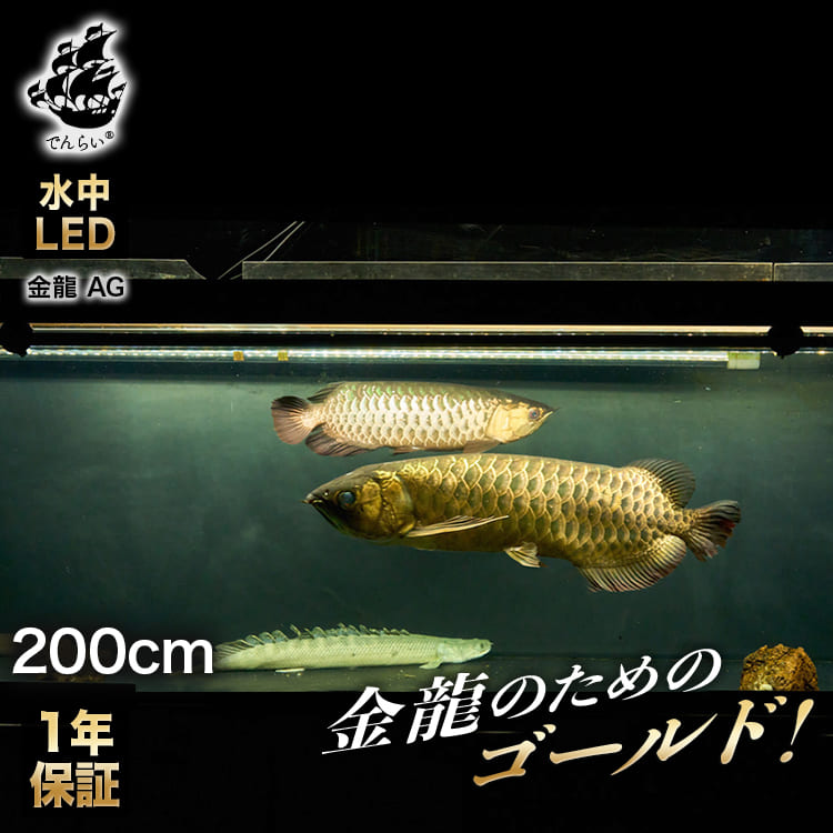 アロワナライト テンニングライト 水中蛍光灯 アロワナ ライト