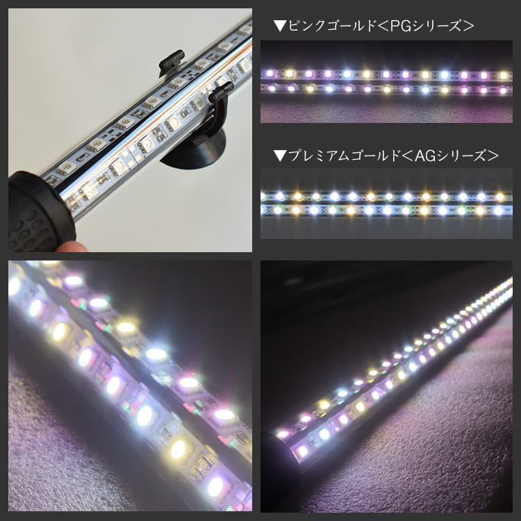 楽天市場】過背金龍 アロワナライト 水槽ライト 藍底金龍 熱帯魚ライト