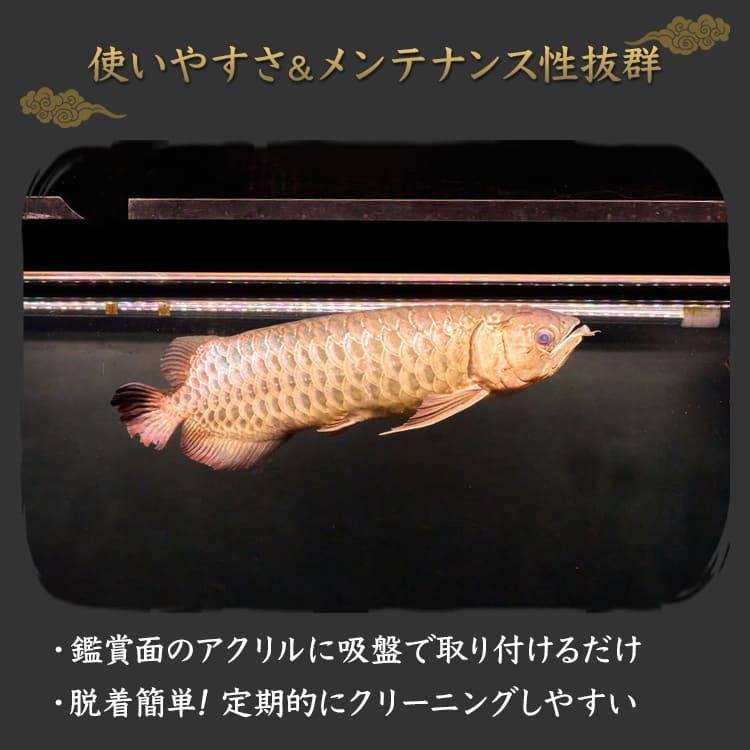 アロワナライト テンニングライト 水中蛍光灯 アロワナ