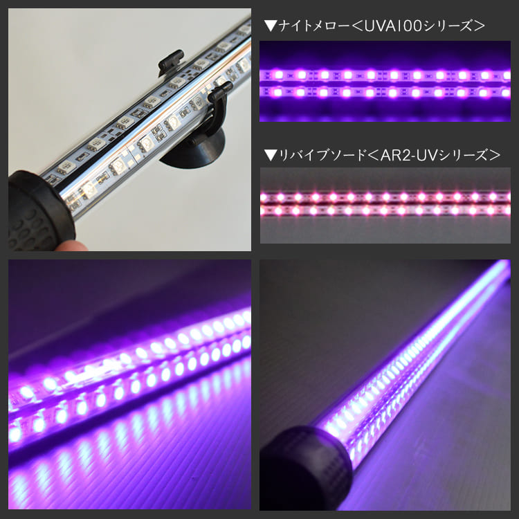 楽天市場】紅龍 スーパーレッド 水中 アロワナ ライト レッドアロワナ