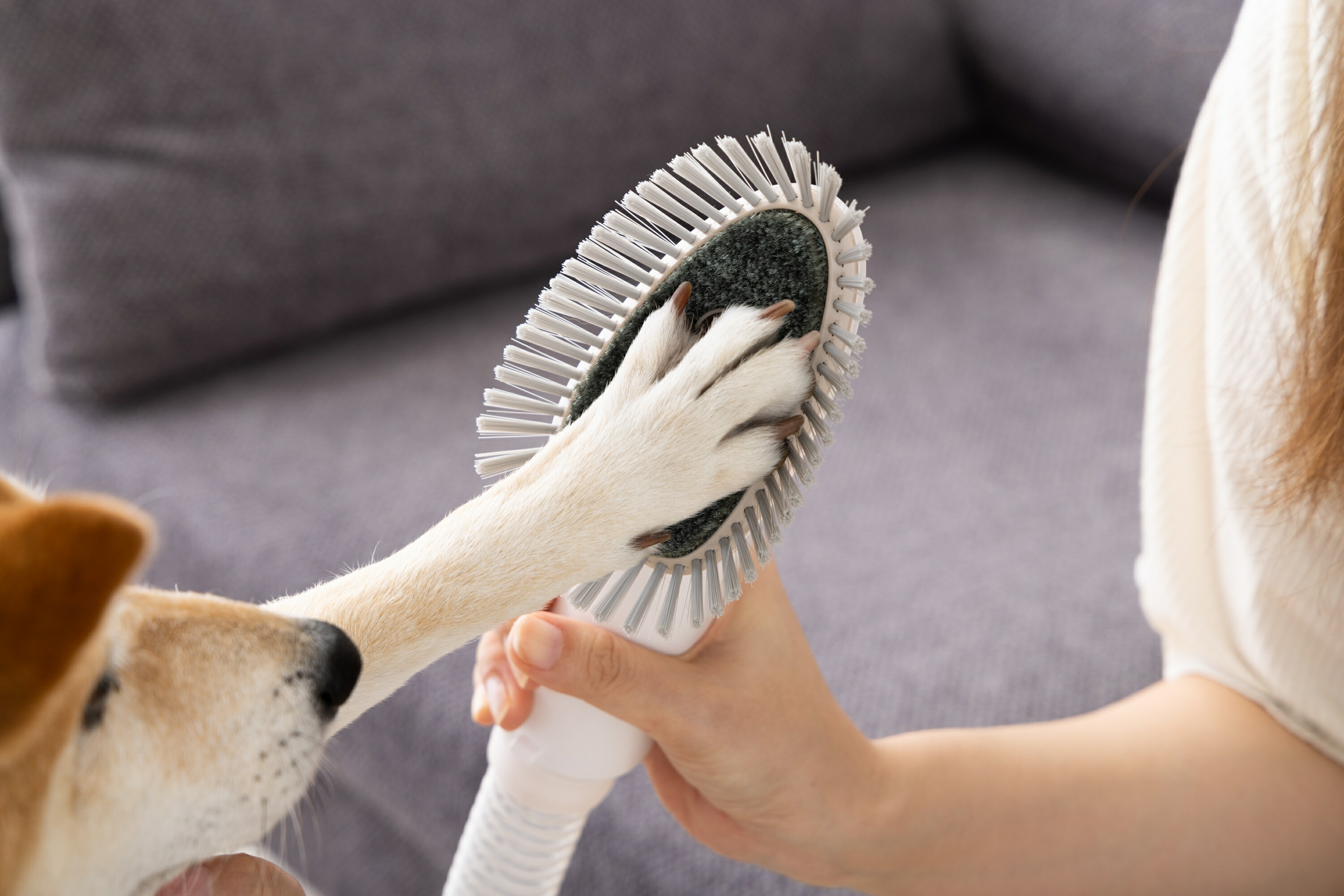 楽天市場】トクハラテクノロジー Micol ペット用バリカンクリーナーBPC