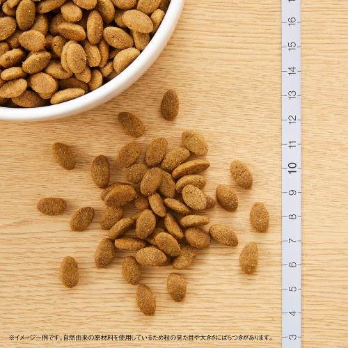 楽天市場】ニュートロ シュプレモ 小粒 小型犬用 成犬用 3kg : DIOマート