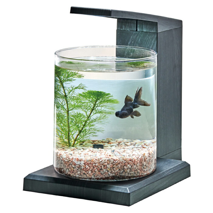 GEX ペルコ チャコールブラック 小型水槽 付属品・おまけ有 楽天市場