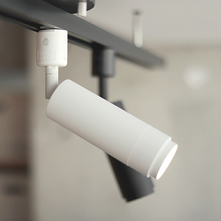 楽天市場】2個セット ダクトレール ライト エジソンスマート ミニ