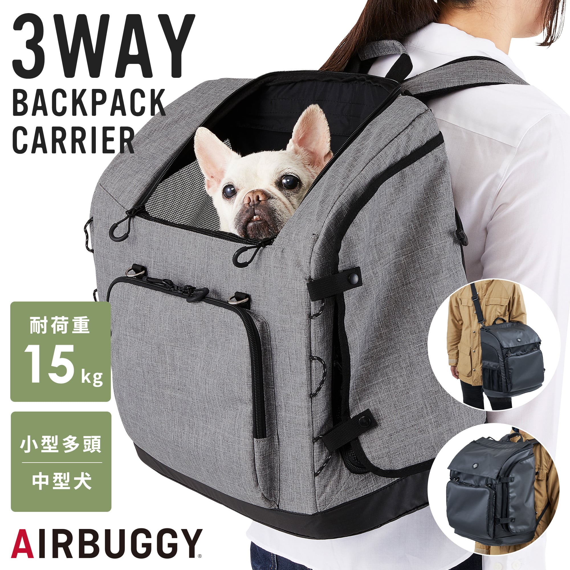 pi01_2312.jpg?fitin=272:272