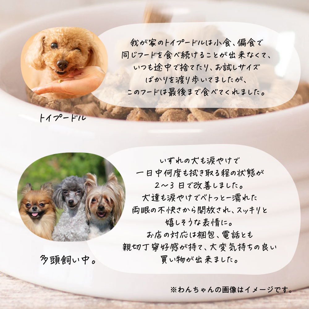 楽天市場】【公式 ドッグフード工房】ドッグフード 無添加 国産 お試し